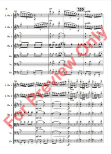 Duet-of-Duel-20