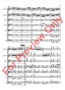 Duet-of-Duel-21