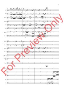 Toccata In D Minor Score for Preview_Page_07