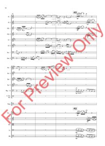 Toccata In D Minor Score for Preview_Page_12