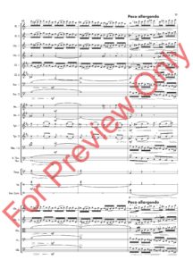 Toccata In D Minor Score for Preview_Page_23